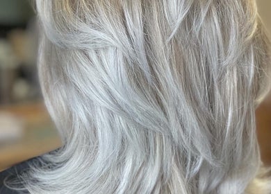 Elegant silver hair highlighting at Signature Style Salon in Trego, Wisconsin, US.