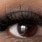 IP Lashes