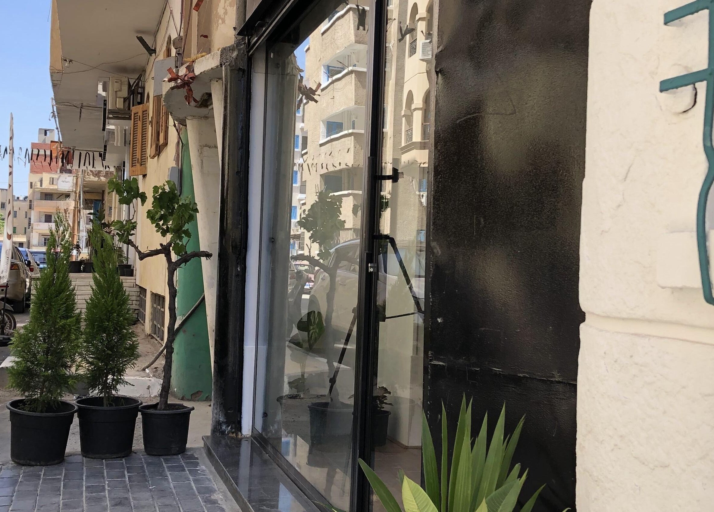 واجهة رashed's Studio في محافظة الإسماعيلية، مبنى حديث ونباتات زينة على الرصيف.