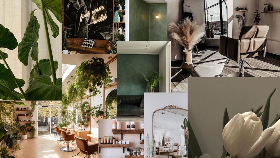Serene interior of Wild Roots Studio in Easley, South Carolina, US, filled with plants and elegant décor.