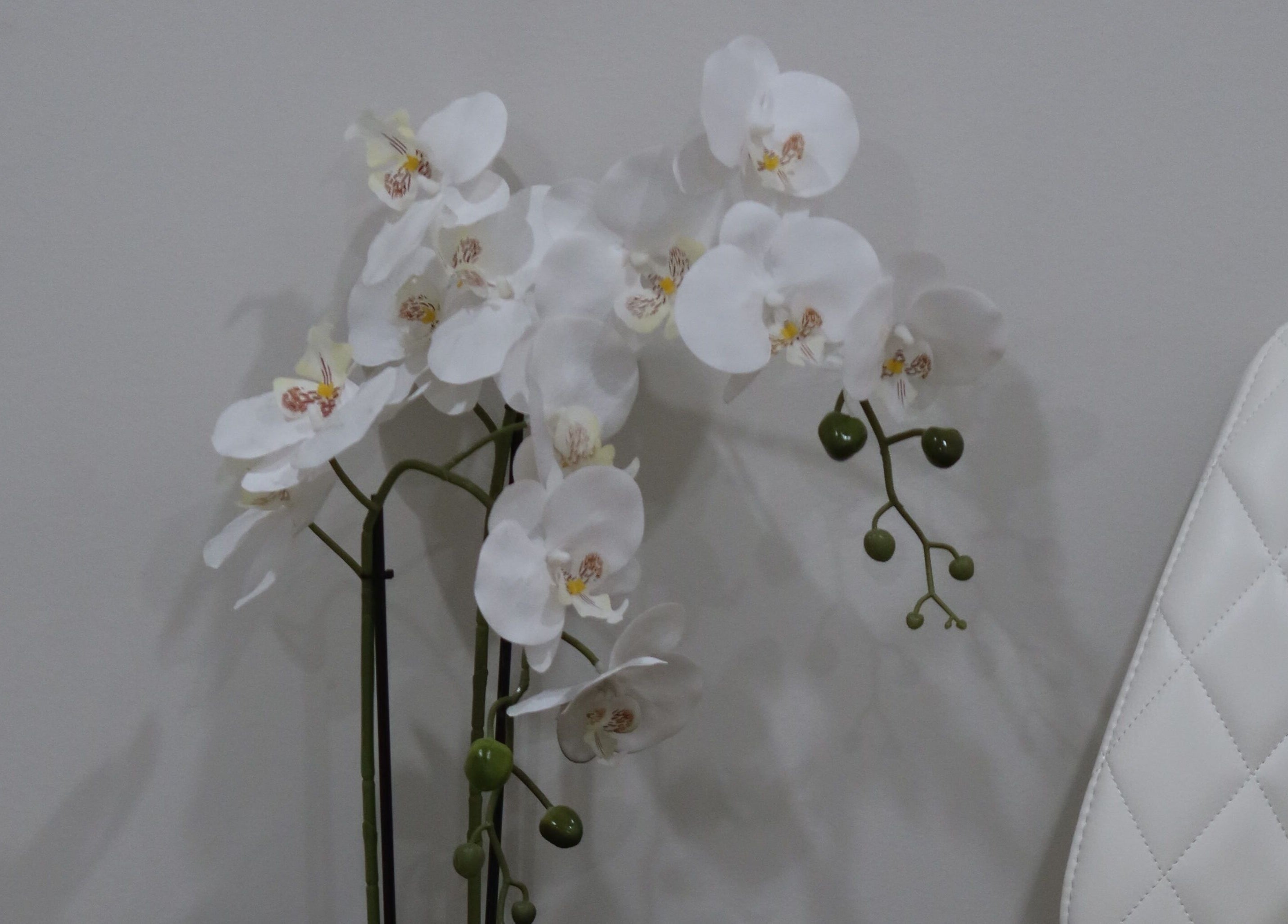 Elegant white orchid in Aesthetics By Kristen reception, Wollongong, New South Wales, AU.