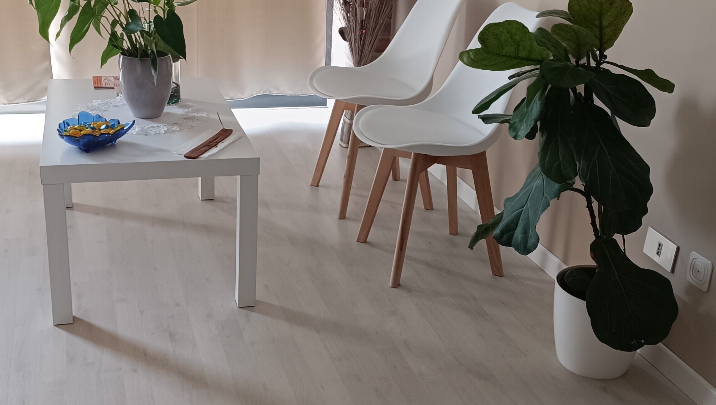 Sala relax di Phoenix Studio a Padova, Veneto, IT con piante e arredi moderni.