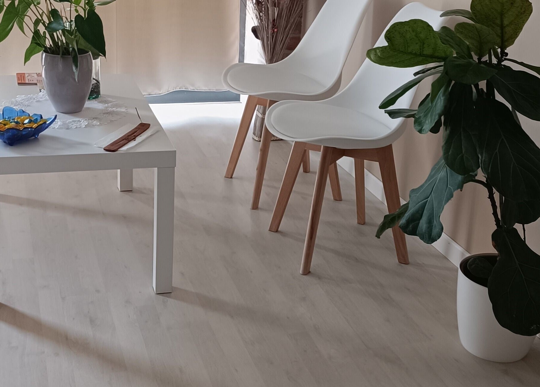 Sala relax di Phoenix Studio a Padova, Veneto, IT con piante e arredi moderni.