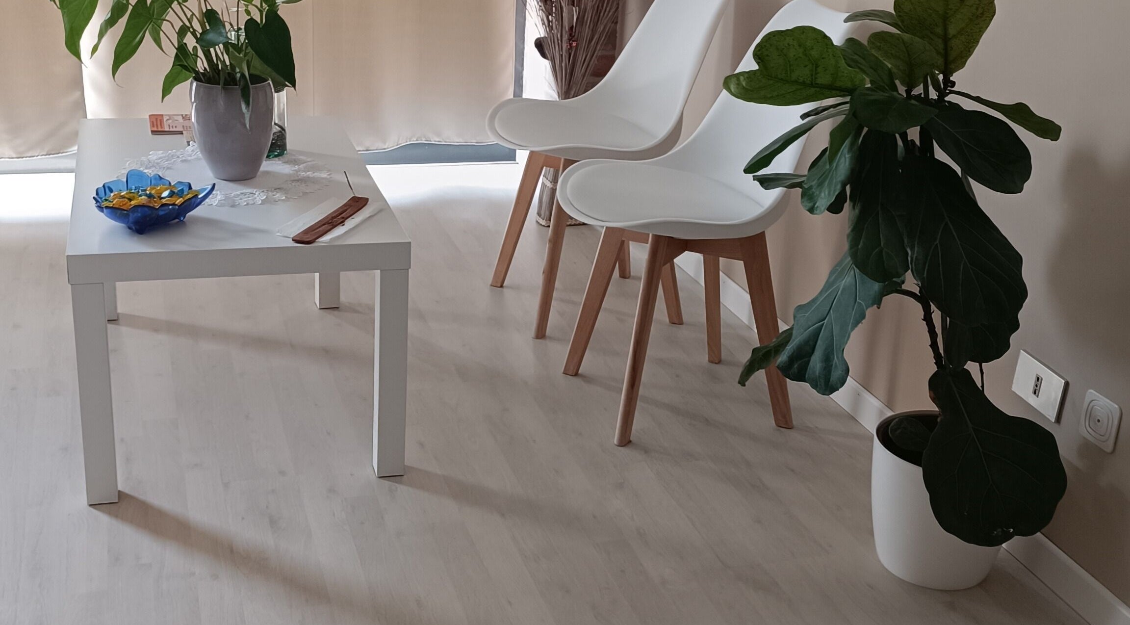 Sala relax di Phoenix Studio a Padova, Veneto, IT con piante e arredi moderni.