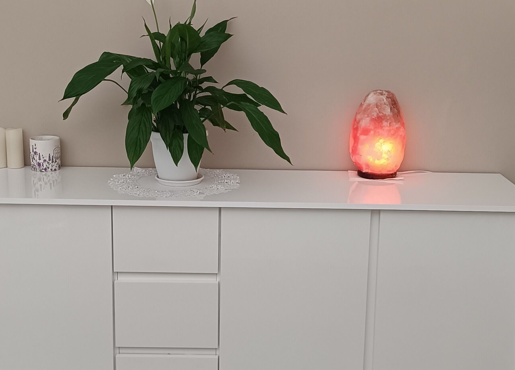 Dettaglio interni con pianta e lampada al sale presso Phoenix Studio, Padova, Veneto, IT.