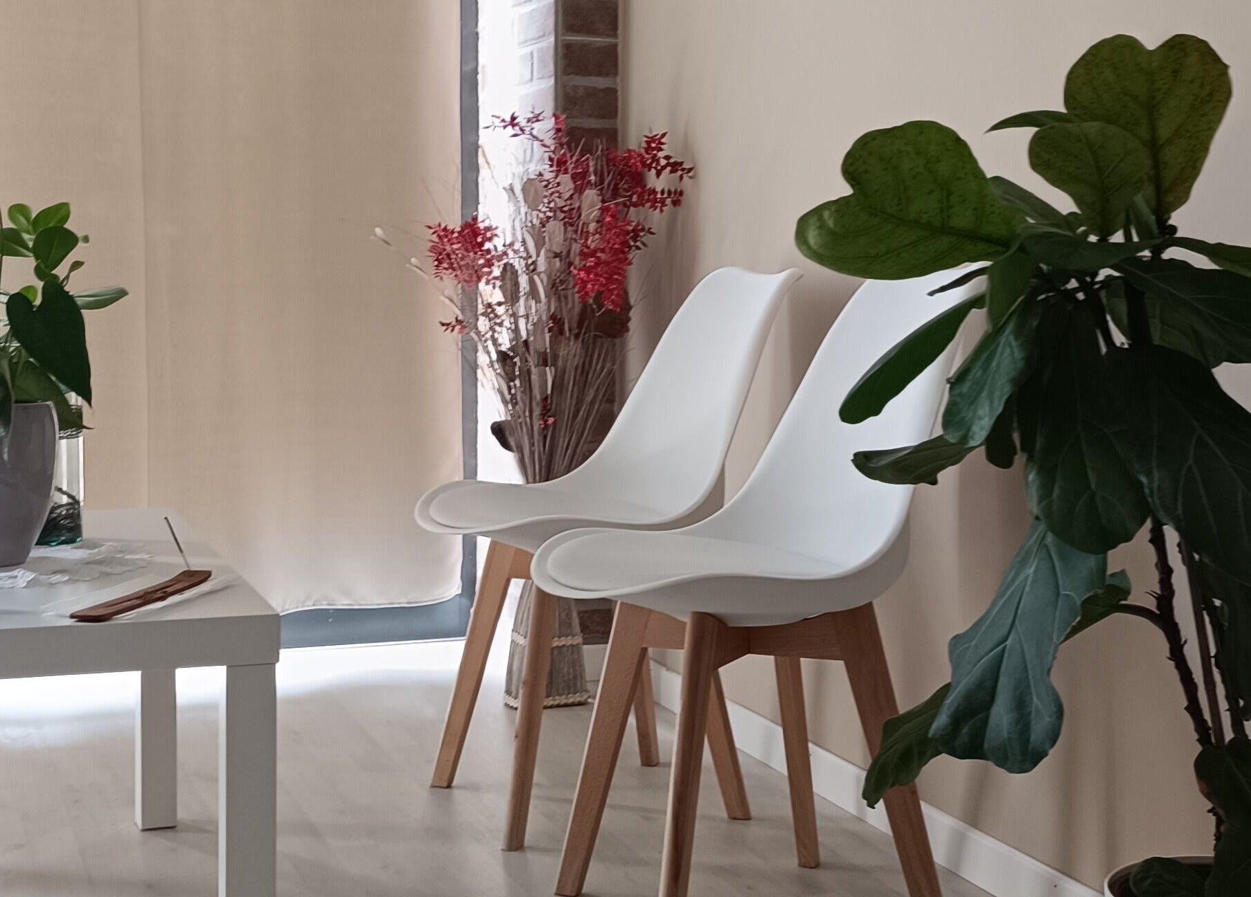 Accogliente angolo relax a Phoenix Studio con piante verdi, due sedie bianche a Padova, Veneto, IT.