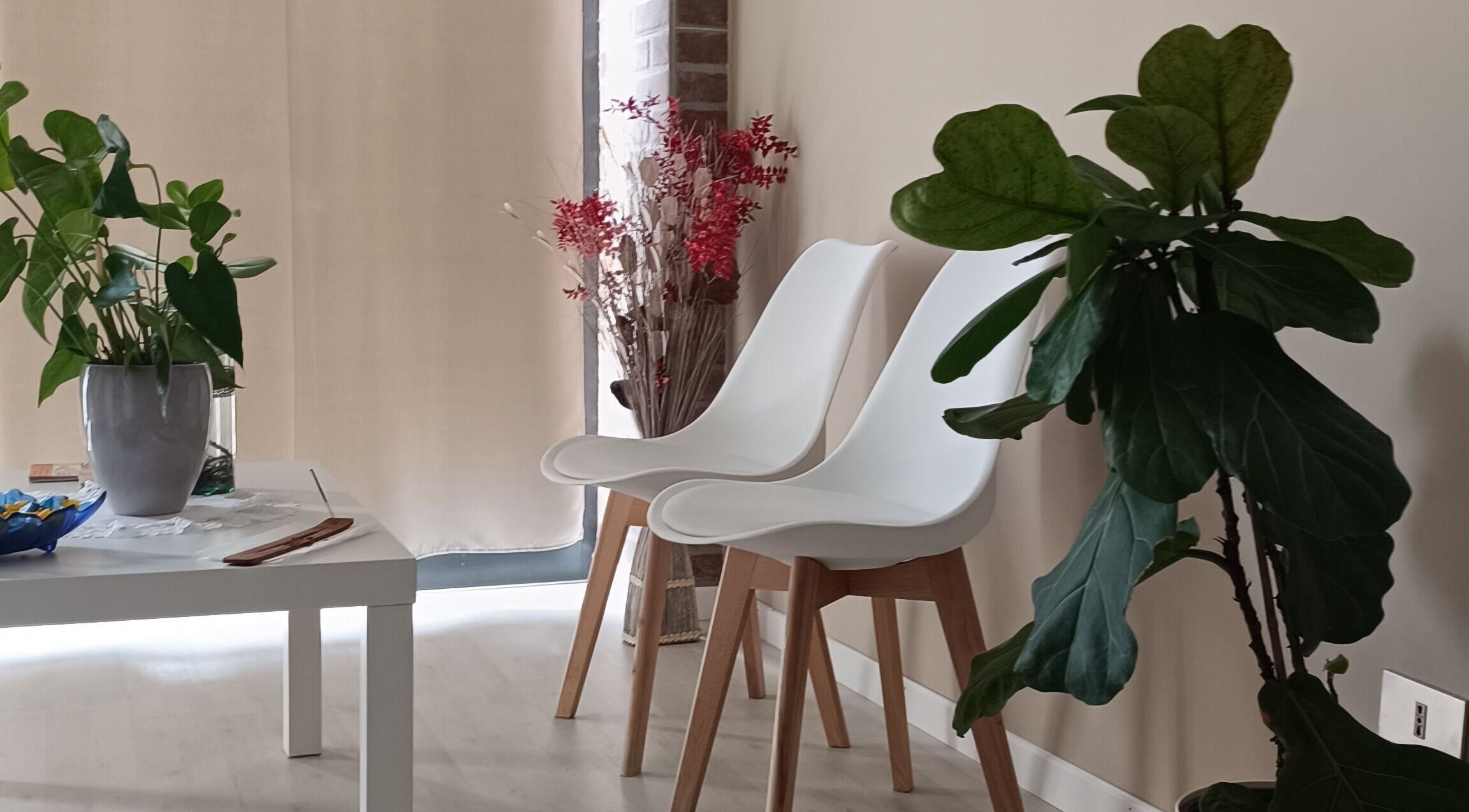 Accogliente angolo relax a Phoenix Studio con piante verdi, due sedie bianche a Padova, Veneto, IT.