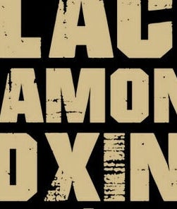 Black Diamond Boxing – obraz 2
