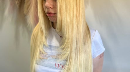 Silk Hair Extensions image 3