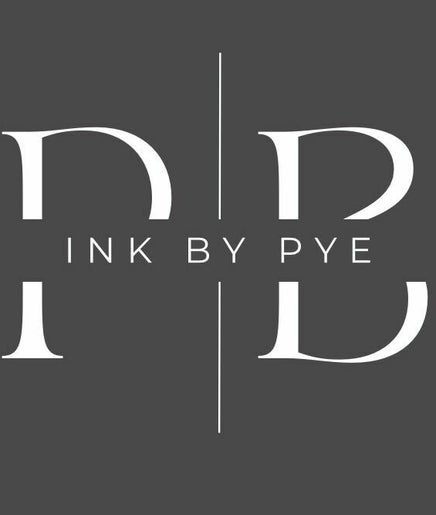 Ink By Pye image 2