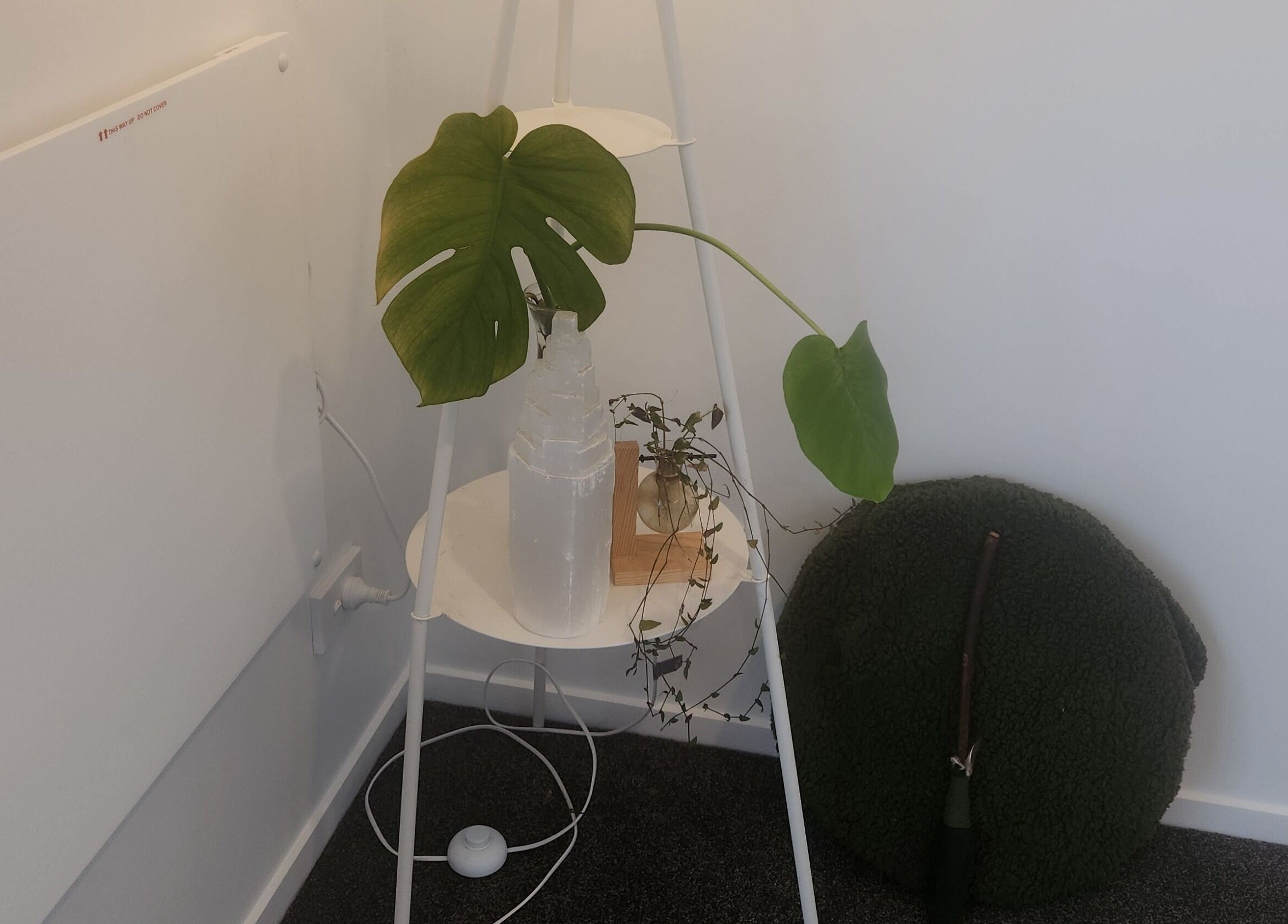 Minimalist corner at Kotiora, Ōtaki, Wellington, NZ with a white shelf, lush plant, and cozy decor.