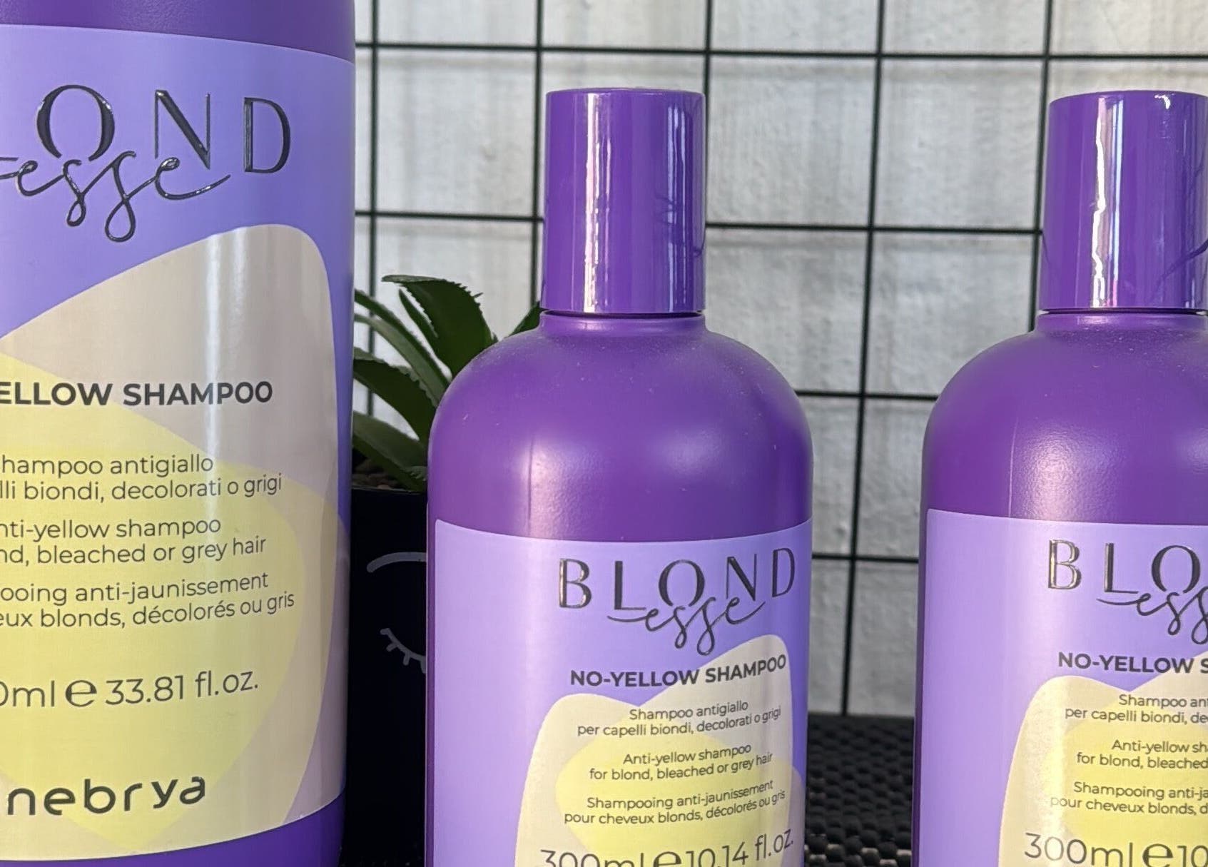 Blondesse no-yellow shampoo bottles at Lu Bella Hair in Modimolle, Limpopo, ZA.