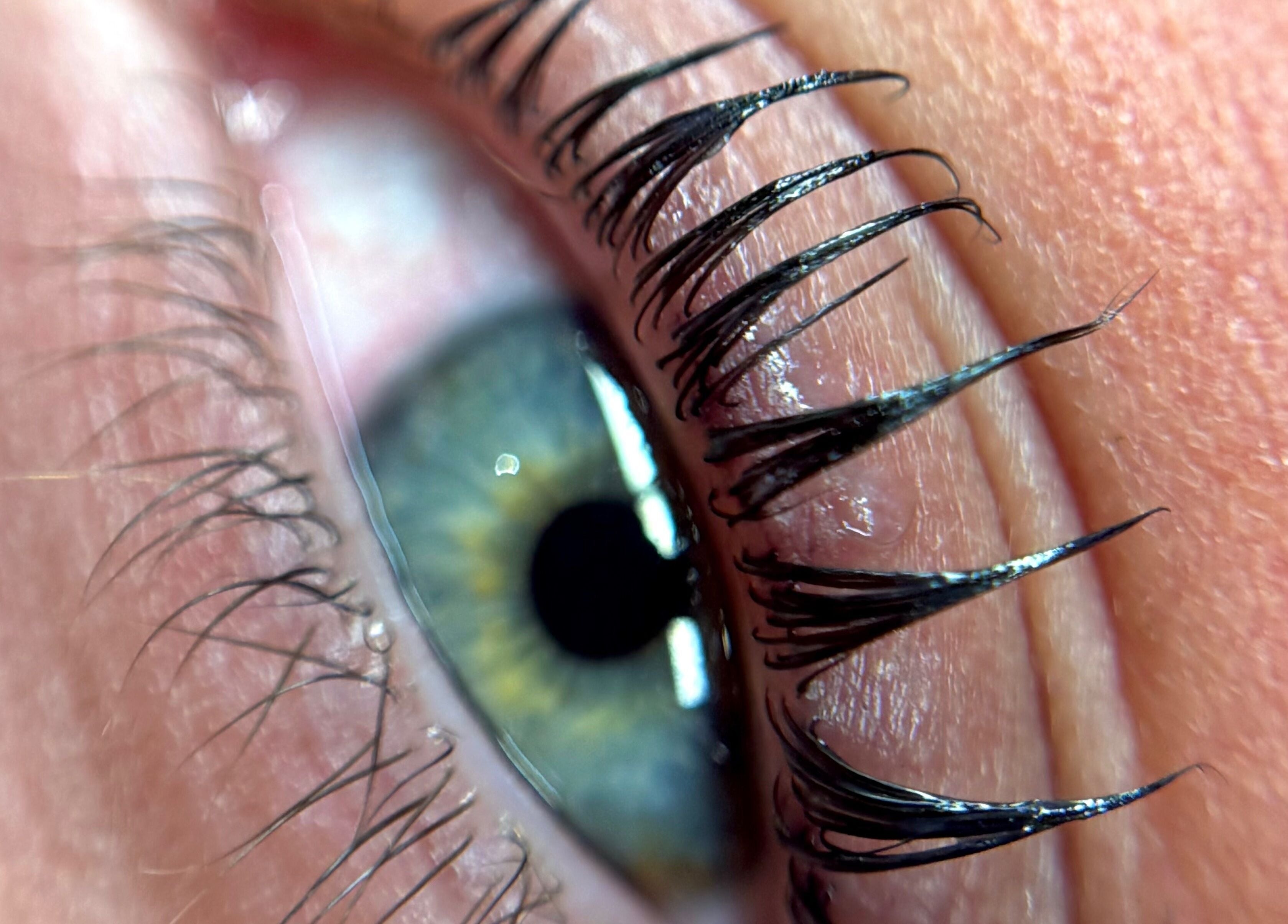 Close-up of elegant eyelash extensions at Refined by Rhianna, Bangor, Northern Ireland, GB.
