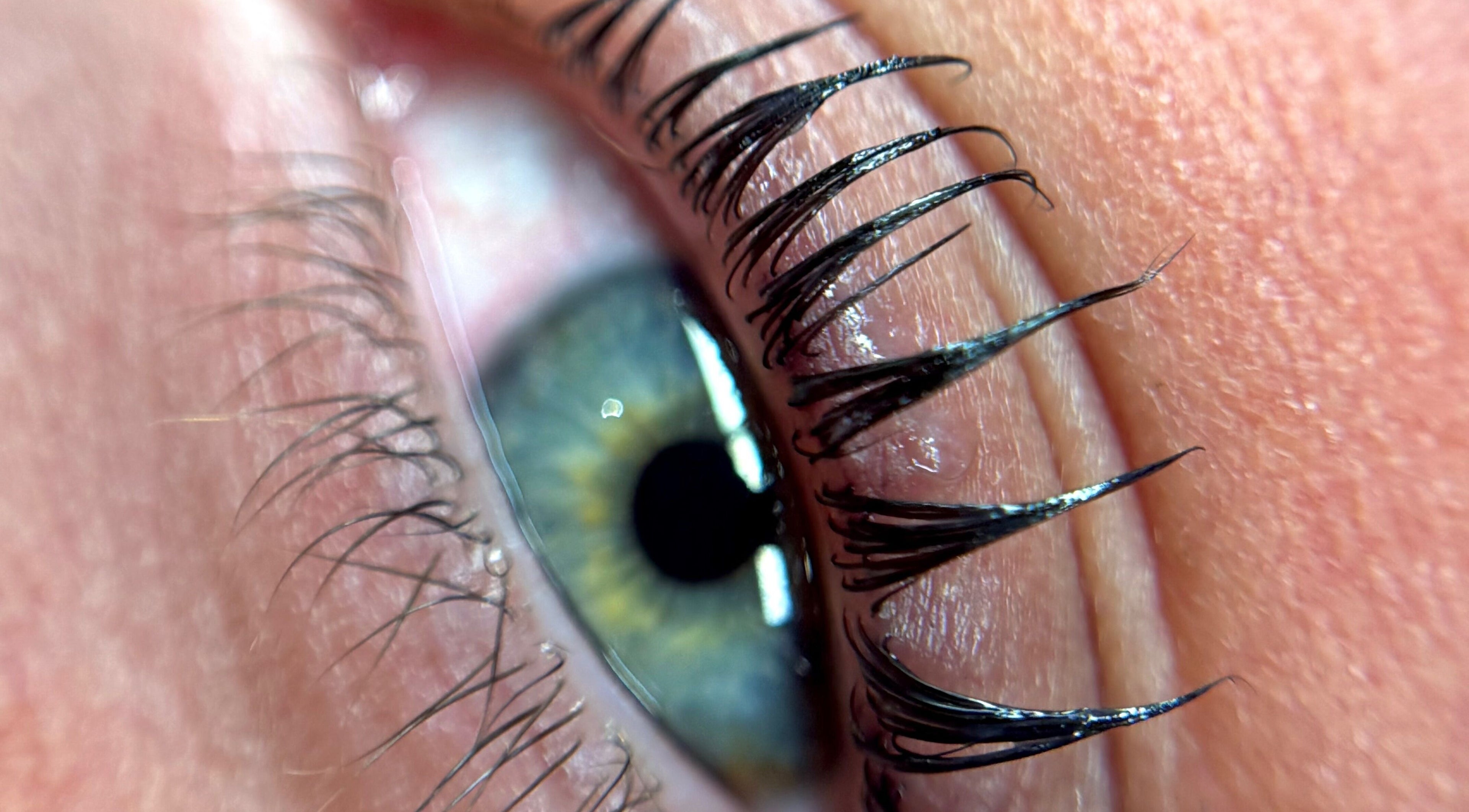Close-up of elegant eyelash extensions at Refined by Rhianna, Bangor, Northern Ireland, GB.