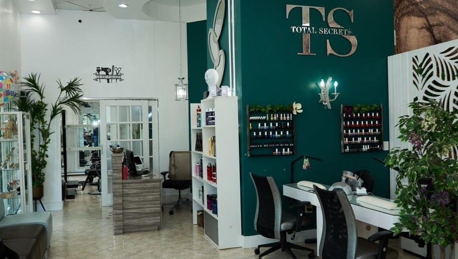 Total Secret Miami image 1