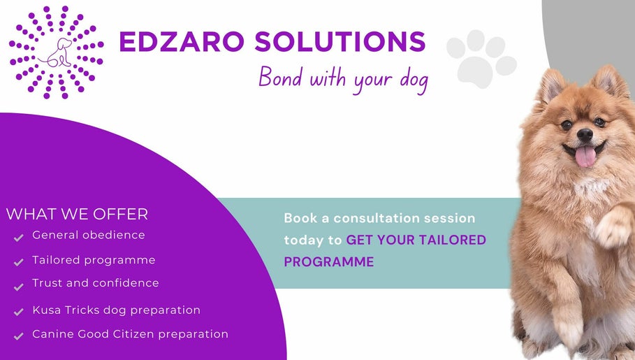 Edzaro Solutions image 1