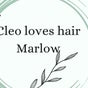 Cleo Loves hair at salon on the farm