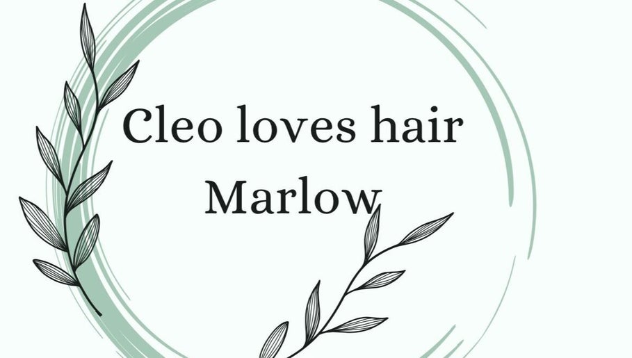 Cleo Loves hair at salon on the farm image 1