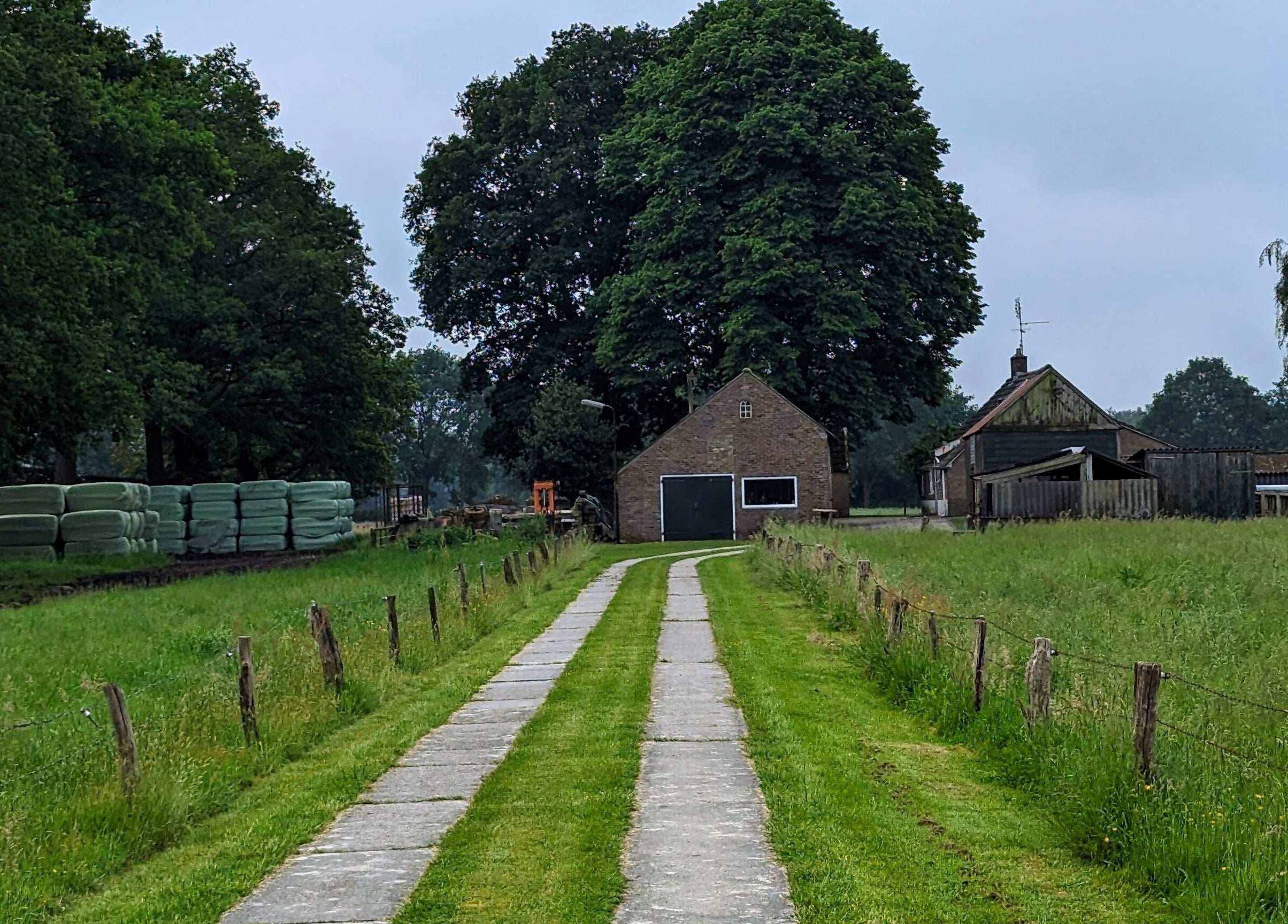 Landelijke oprit naar Mina Haarsalon in Vroomshoop, Overijssel, NL, omgeven door groene velden en bomen.