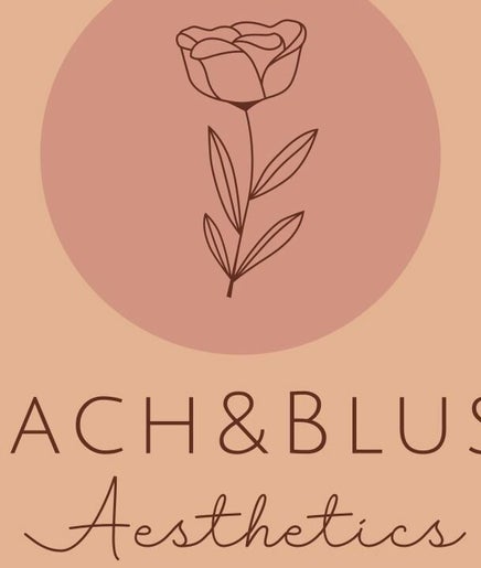 Peach and Blush Aesthetics 2paveikslėlis