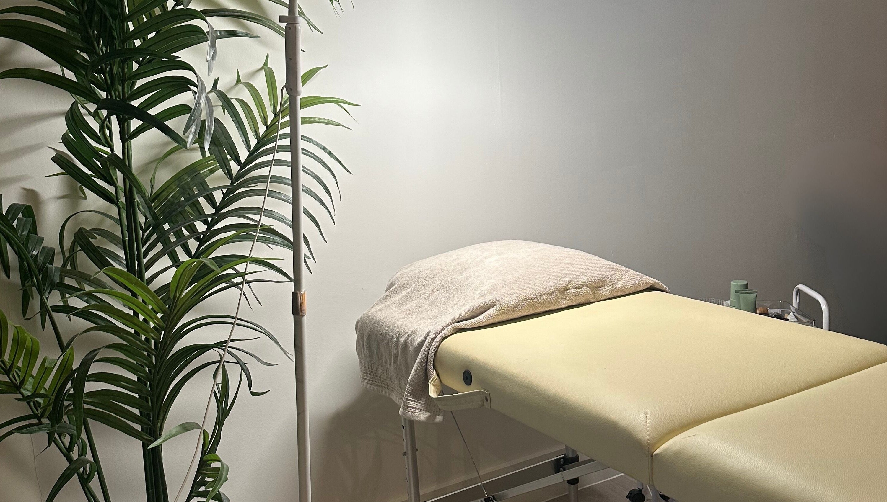 Calm treatment room at Coleysbrows, Locking Parklands, England, GB featuring a spa bed and lush green plant.