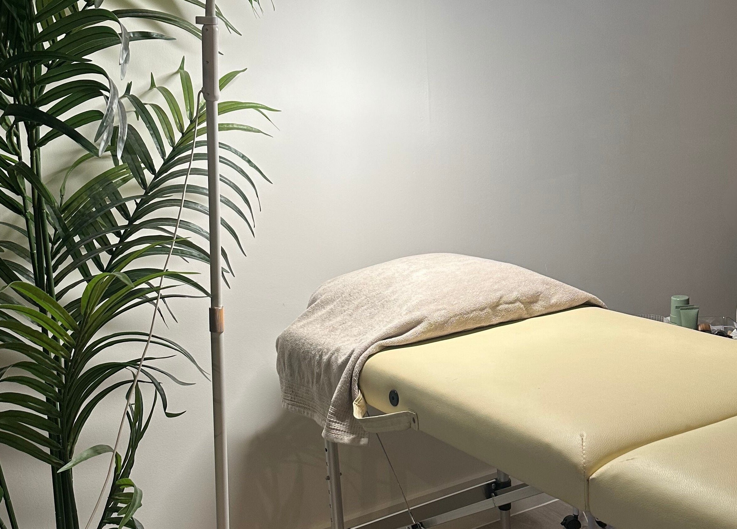 Calm treatment room at Coleysbrows, Locking Parklands, England, GB featuring a spa bed and lush green plant.