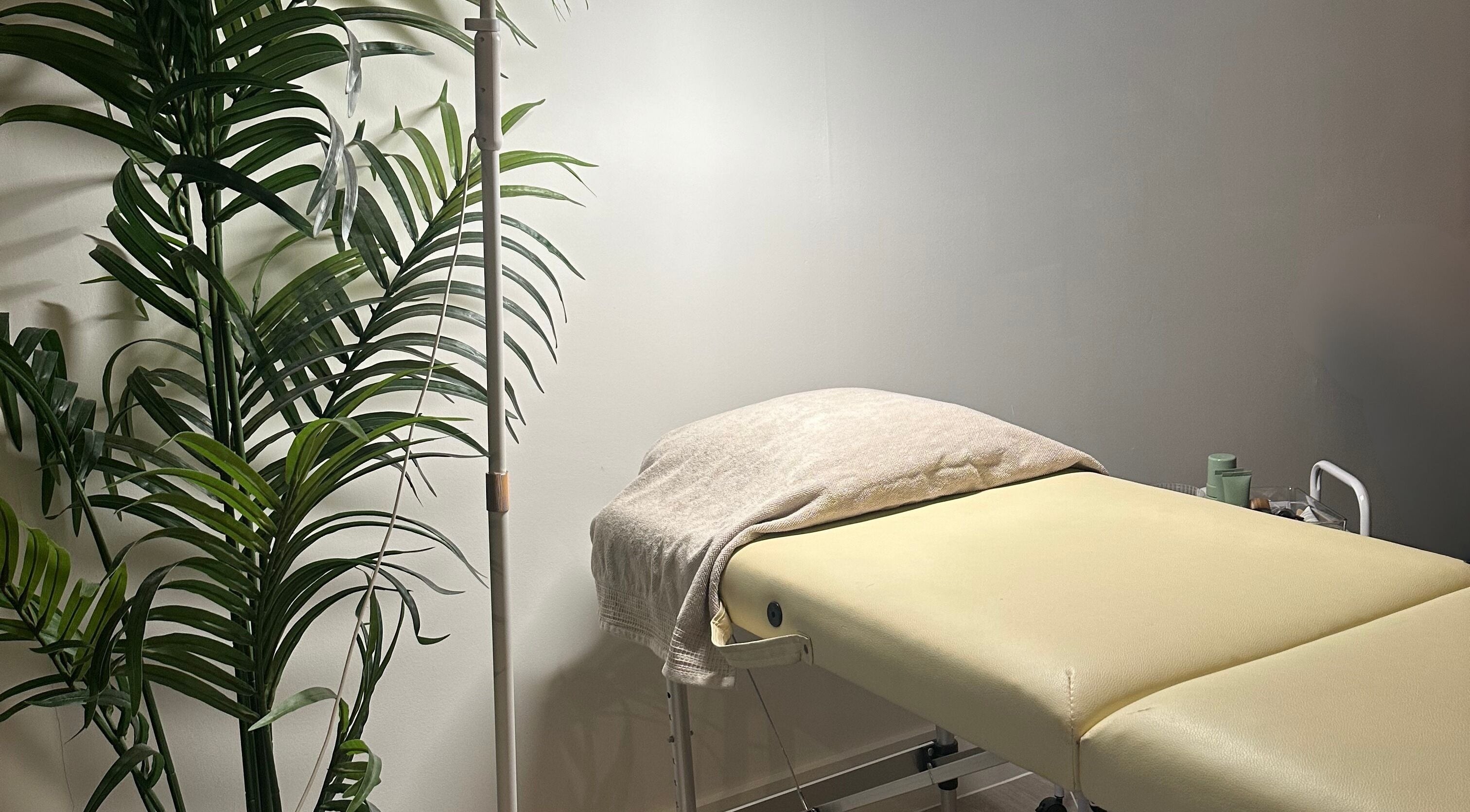 Calm treatment room at Coleysbrows, Locking Parklands, England, GB featuring a spa bed and lush green plant.