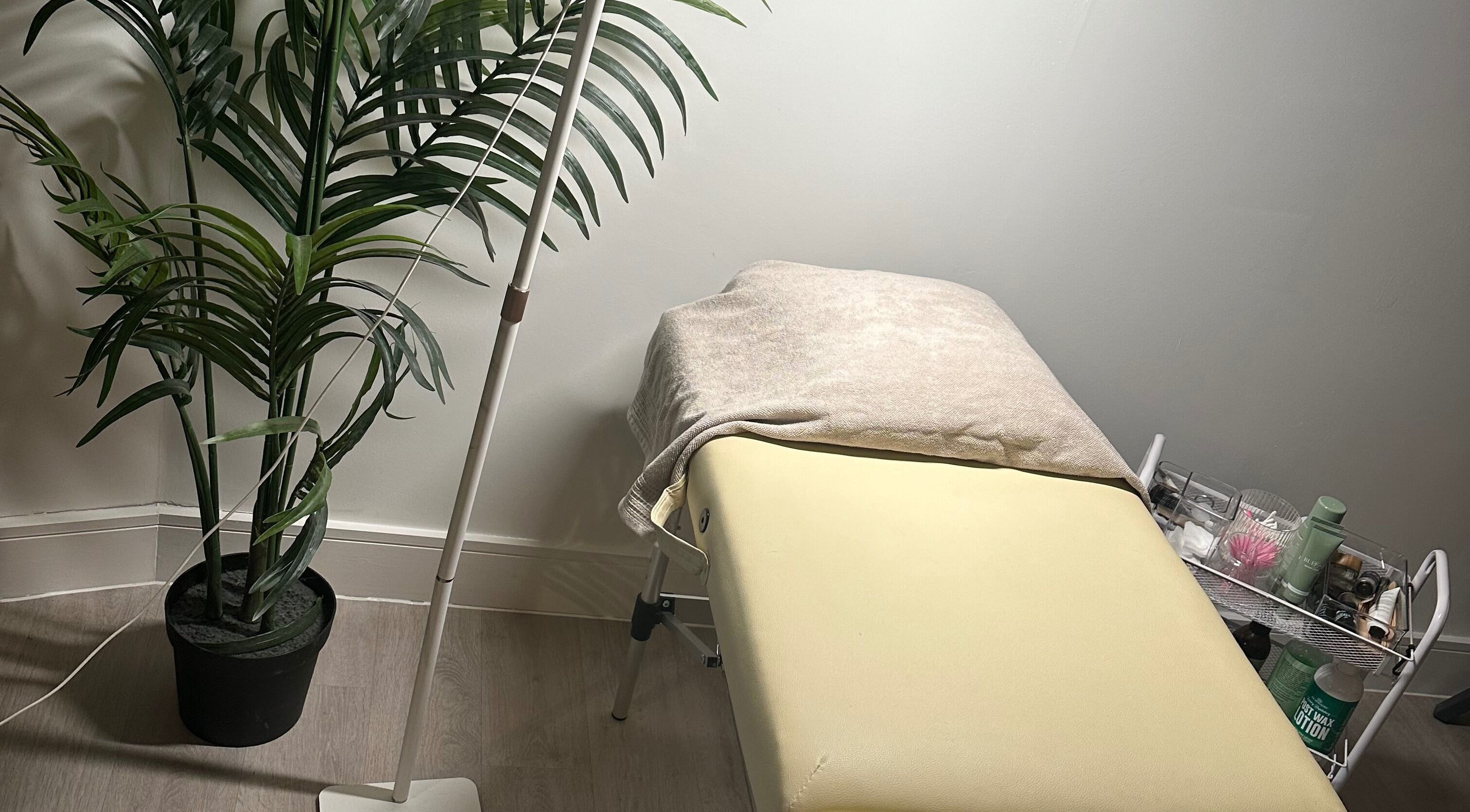 Relaxing spa room at Coleysbrows, Locking Parklands, England, GB with treatment bed and plants.