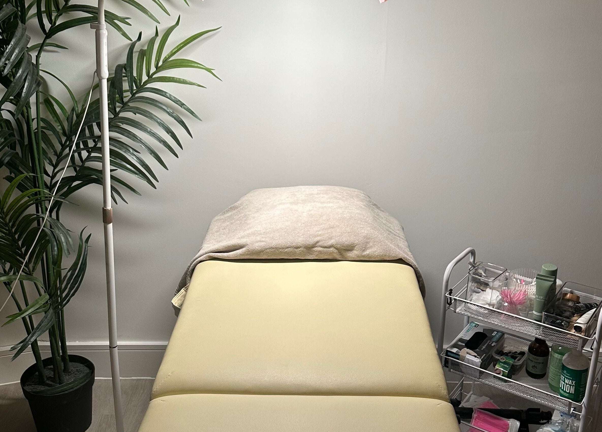 Relaxing treatment room at Coleysbrows, Locking Parklands, England, GB with a bed and palm decor.