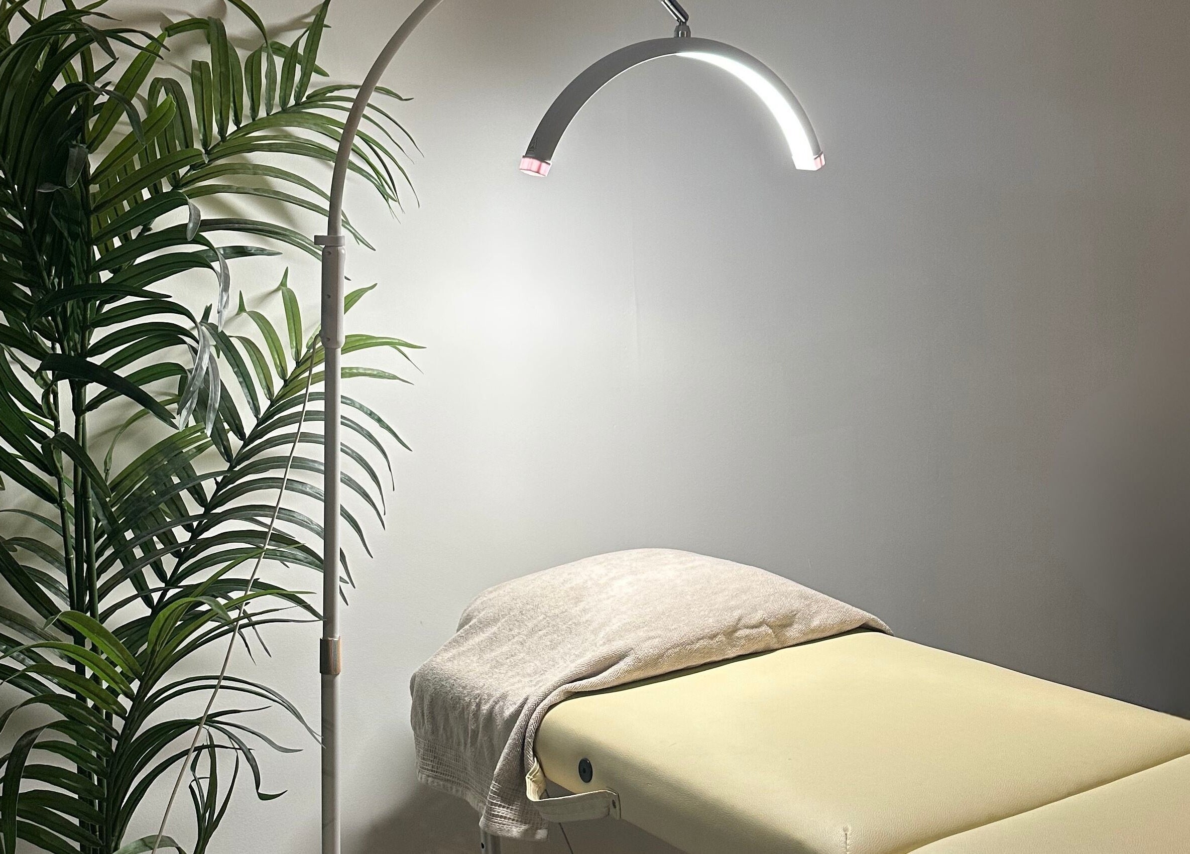 Relaxing spa room at Coleysbrows in Locking Parklands, England, GB, featuring a treatment bed and lush greenery.