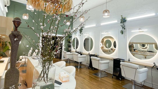 Mv Hair Spa