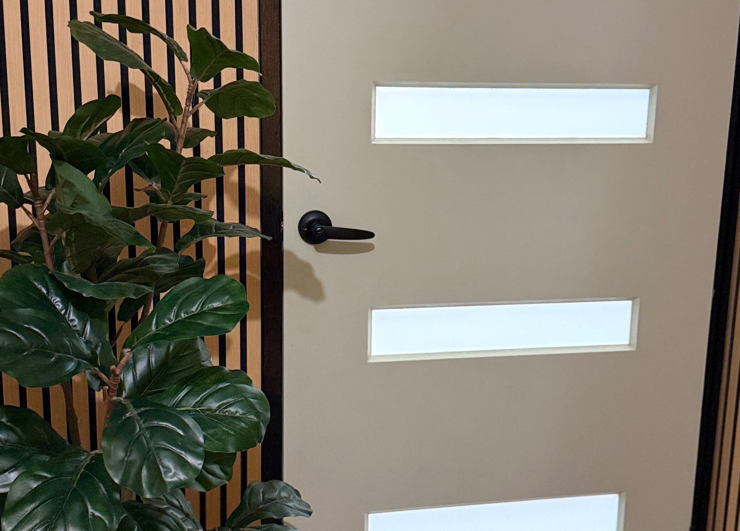 Entrance at Lift Your Soul Head Spa, Katherine South, showcasing modern door and lush plant decor.