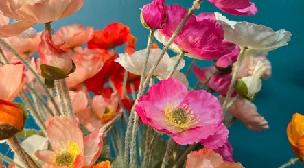 Colorful flowers at Treat Yourself Beautifully, Clermont, Queensland, AU, creating a vibrant, calming ambiance.
