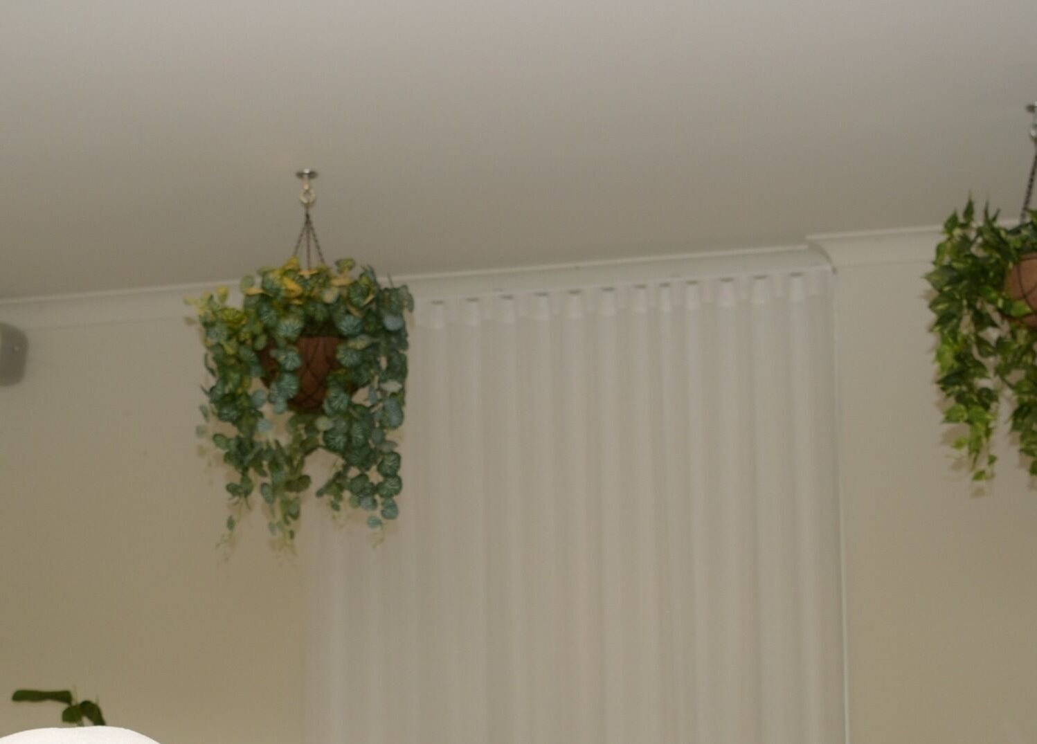 Lush hanging plants enhance the peaceful ambiance at Getaway Day Spa in Mt Tamborine, Queensland, AU.