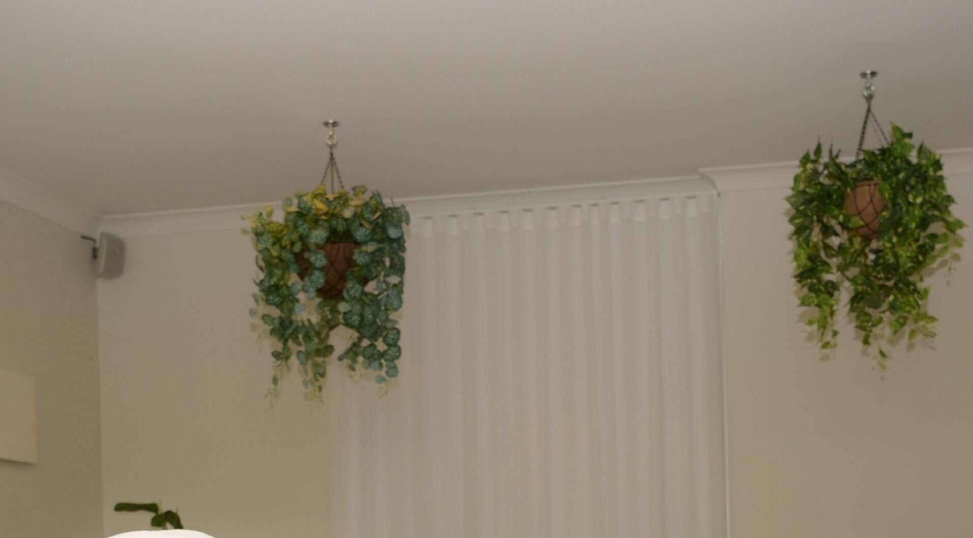 Lush hanging plants enhance the peaceful ambiance at Getaway Day Spa in Mt Tamborine, Queensland, AU.