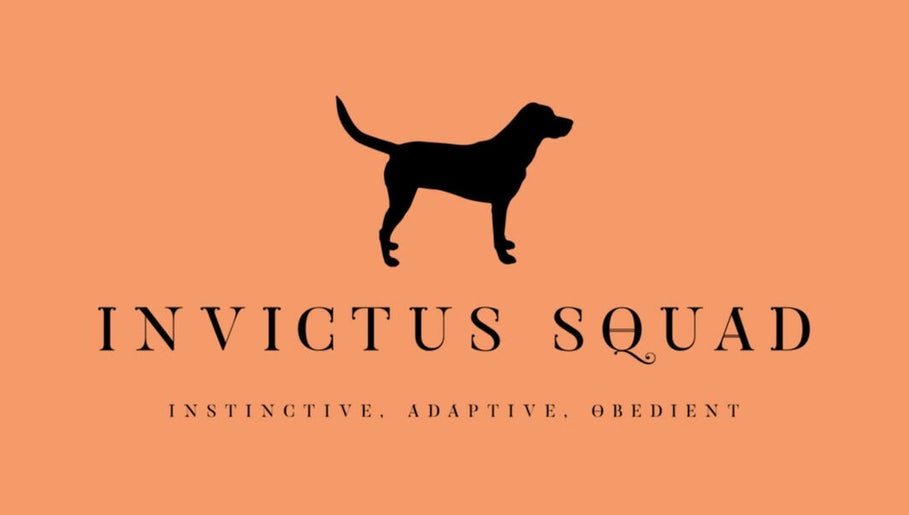 Invictus Squad image 1