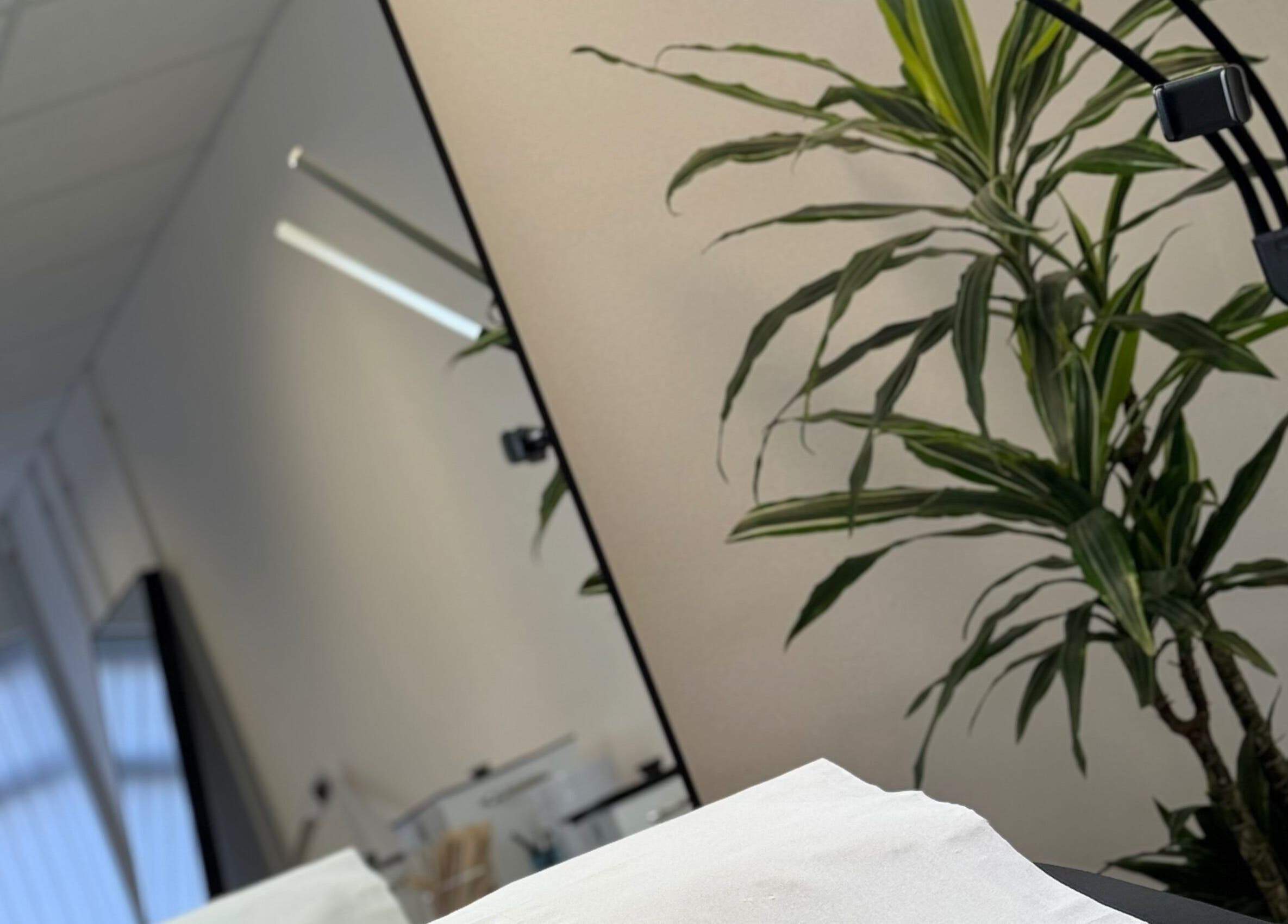 Relaxing beauty treatment room at Waxing Forbes No.2, Plymouth, England, GB with soft lighting and greenery.