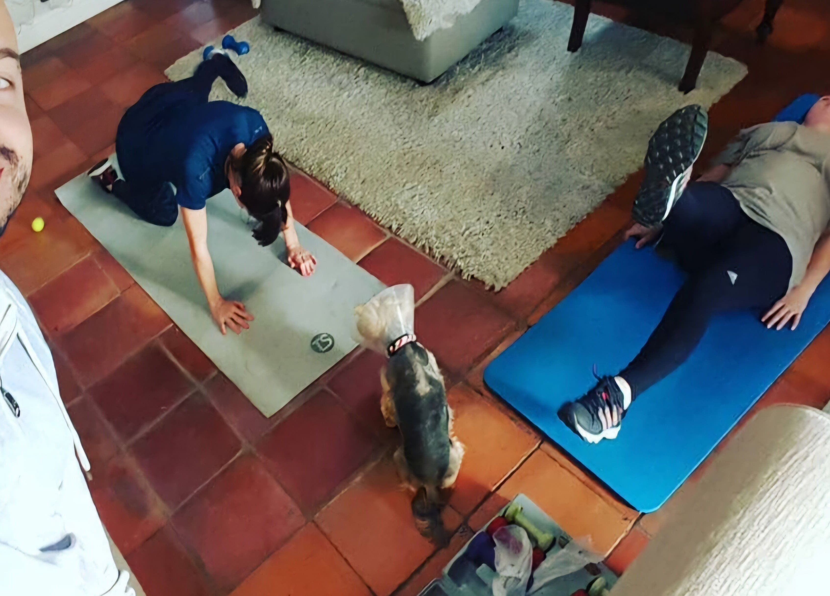 JK Personal Trainer leads a cozy indoor workout session in Cape Town, Western Cape, ZA with a playful pet.