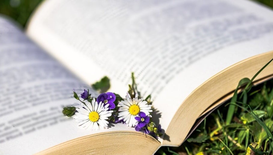 Fleurs violettes et blanches sur un livre ouvert à INSTANT NATURO, AJACCIO, Corse, FR.