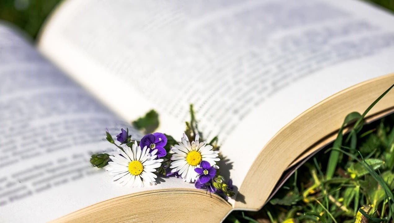 Fleurs violettes et blanches sur un livre ouvert à INSTANT NATURO, AJACCIO, Corse, FR.