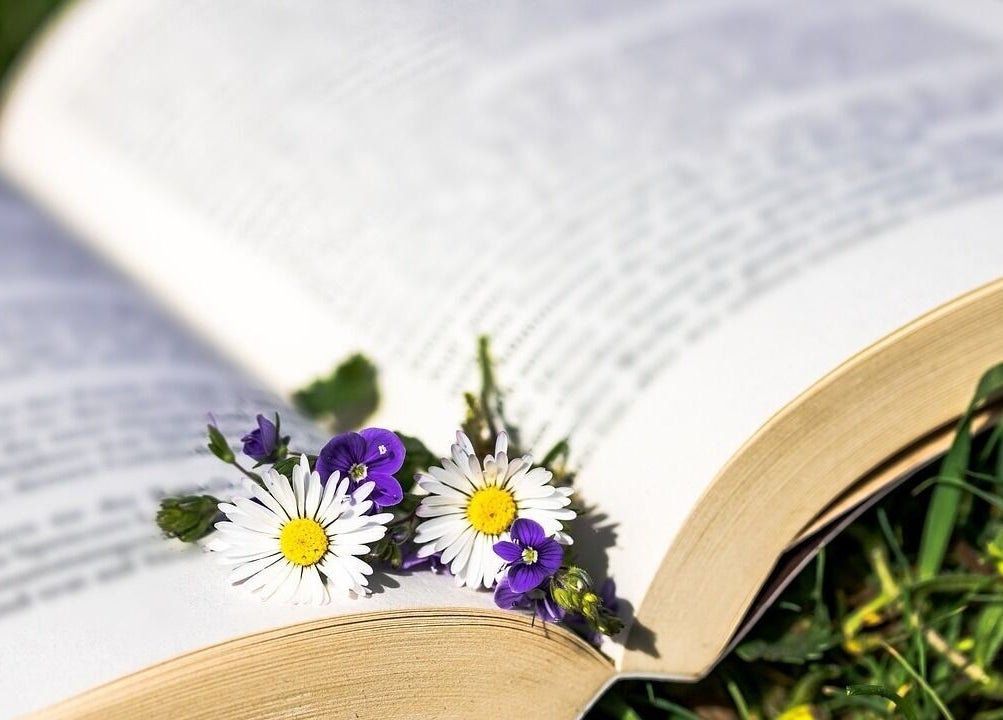 Fleurs violettes et blanches sur un livre ouvert à INSTANT NATURO, AJACCIO, Corse, FR.
