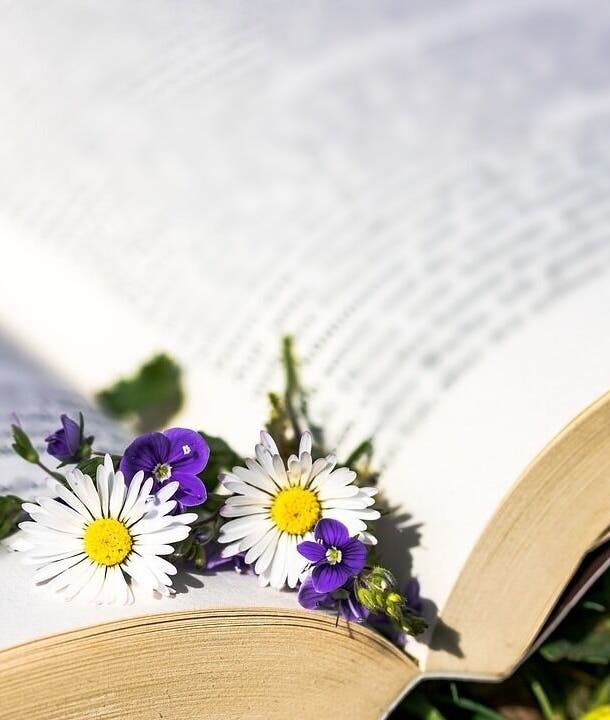Fleurs violettes et blanches sur un livre ouvert à INSTANT NATURO, AJACCIO, Corse, FR.