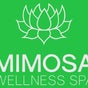 Mimosa Wellness Spa - 32 Mimosa Road, Randpark Ridge, Randburg, Gauteng