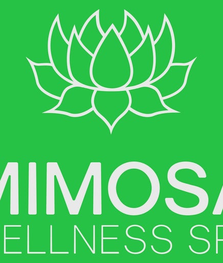 Mimosa Wellness Spa صورة 2