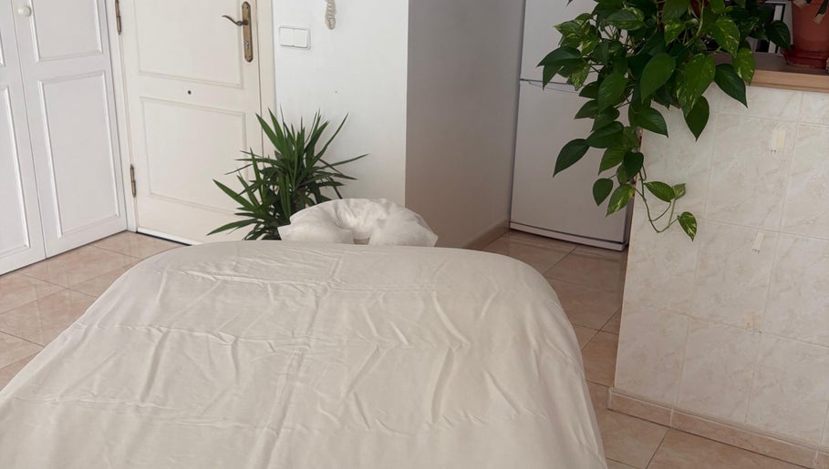 Sala de masajes en Masajes Carolina con plantas en Sant Josep De Sa Talaia, Illes Balears, ES.