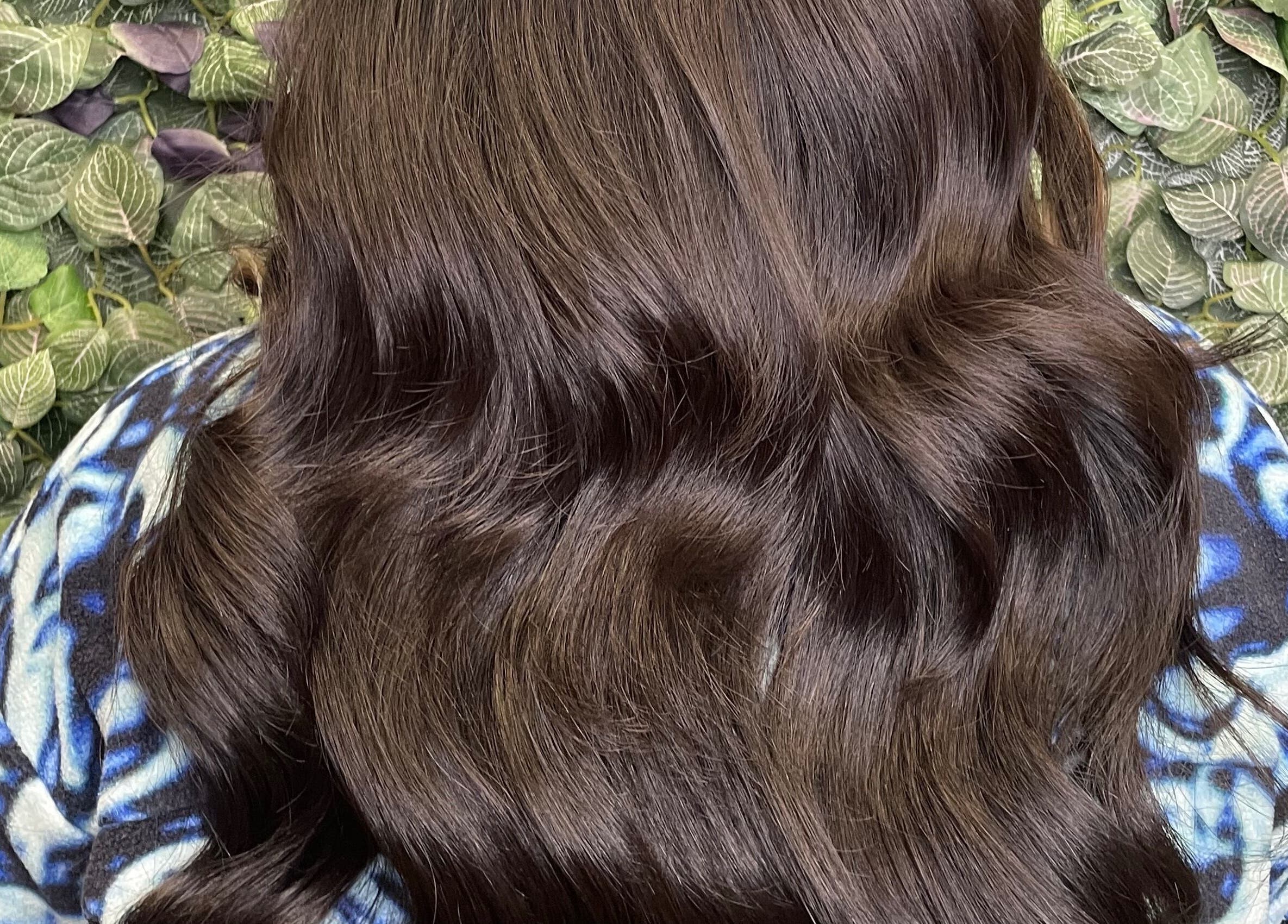 Rich chocolate brown hair against a leafy backdrop at Danielle Extensions, Dublin, County Dublin, IE.