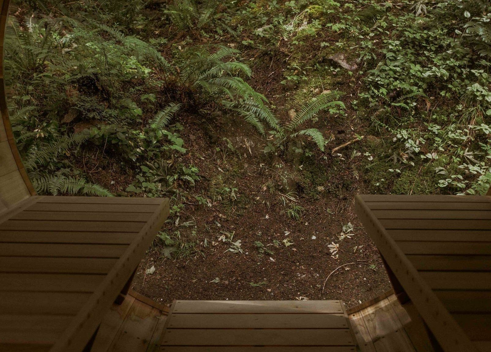 Serene forest sauna at The Moonshine Spa, Madeira Park, British Columbia, CA.