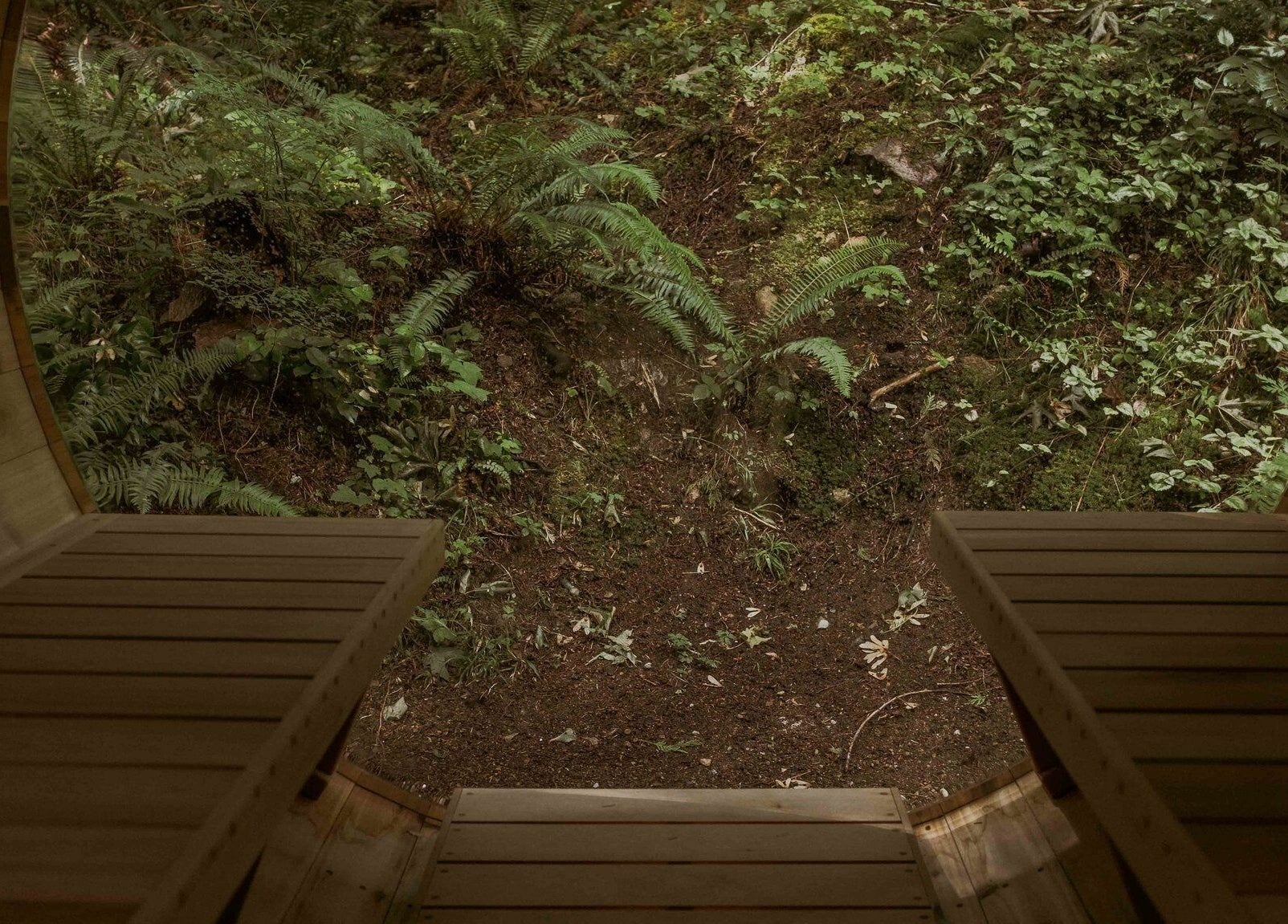 Serene forest sauna at The Moonshine Spa, Madeira Park, British Columbia, CA.
