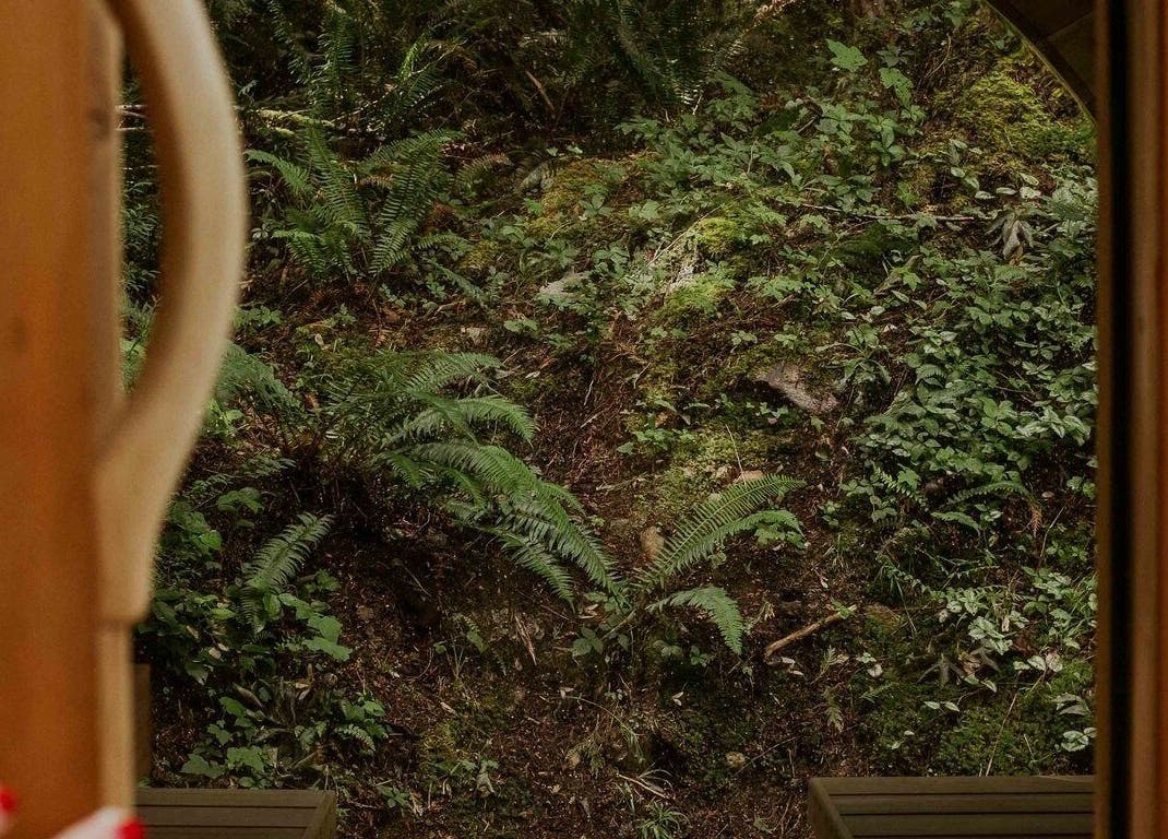 Relaxing forest view from The Moonshine Spa in Madeira Park, British Columbia, CA.