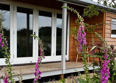 Charming lodge at Wild Coast Wellbeing in Kings Lynn, England, GB, surrounded by vibrant flowers.